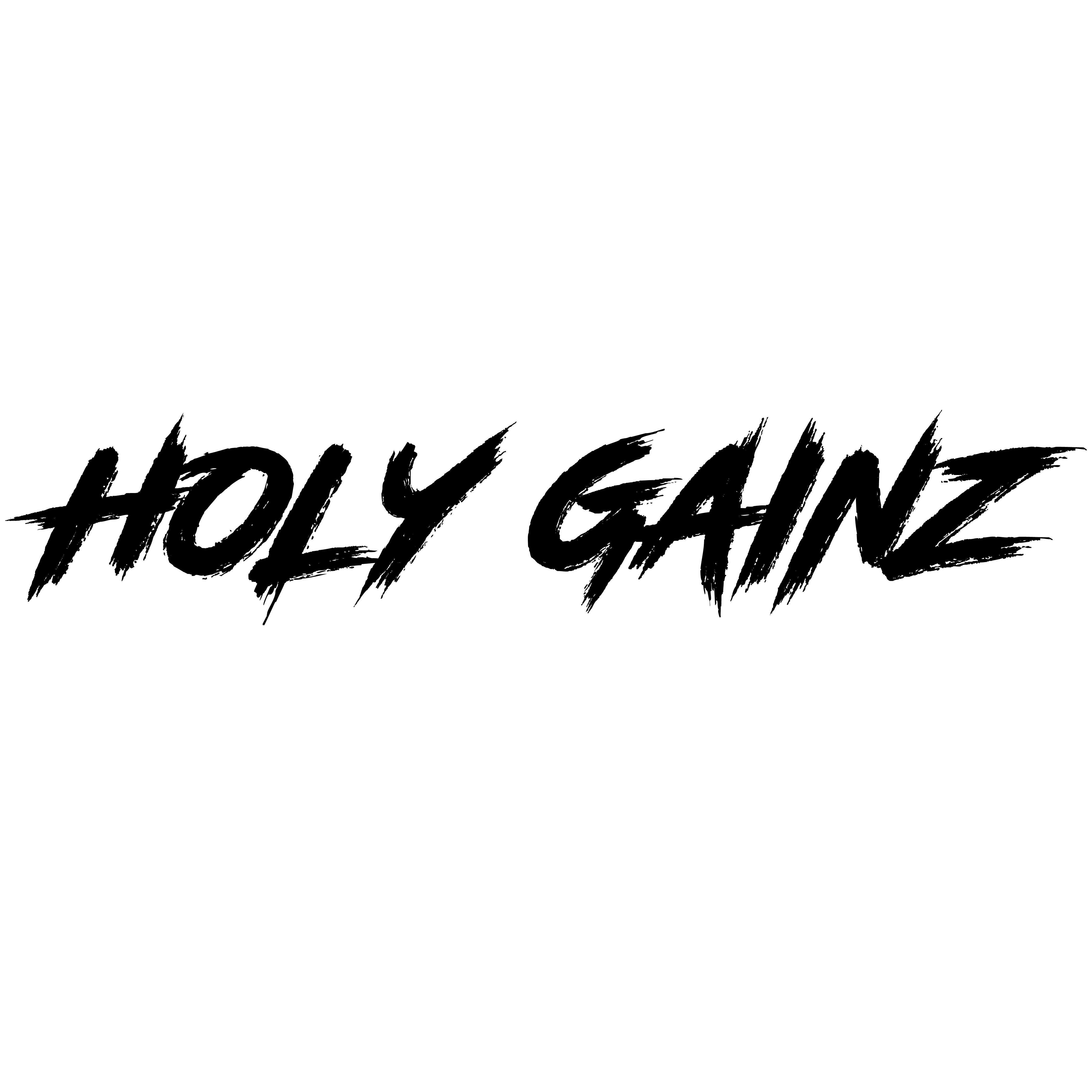 holygainzapparel.com logo
