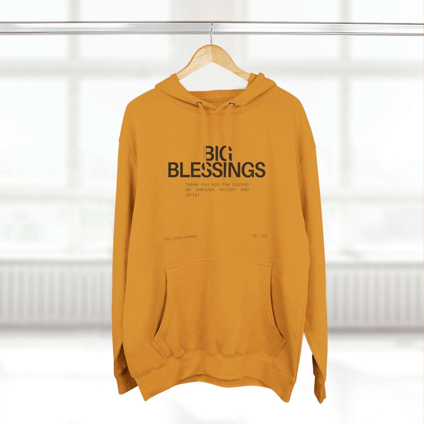 Holy Gainz Apparel Big Blessings Unisex Hoodie